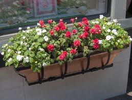 Container gardening hanging basket surrey langley