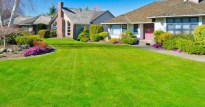 grass-cutting-white-rock-bc