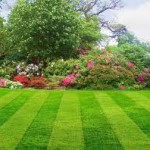 Lawn and garden tips