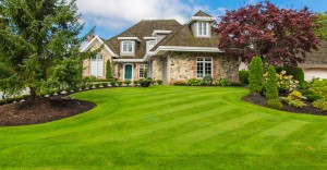 lawn-cutting-langley-bc