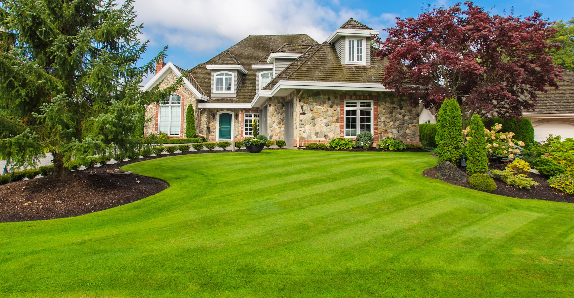 Reviews Testimonials Liberty Lawn Surrey BC reviews-testimonials-liberty-lawn-surrey-bc
