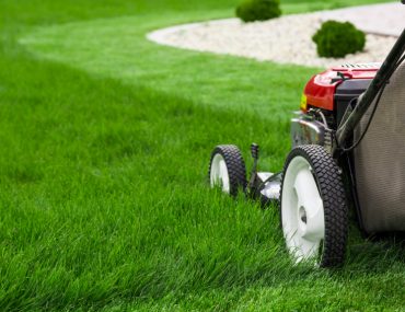 Lawn Cutting Service - Surrey Langley