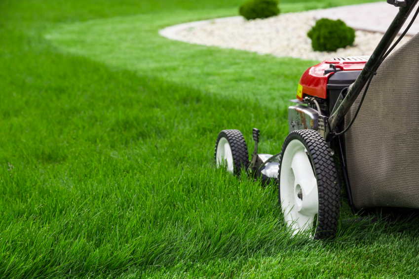 Red and grey lawn mower is cutting very thick grass.