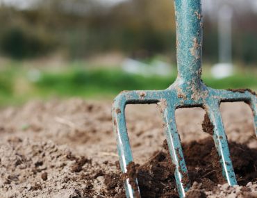 Gardening Tip: Double Digging