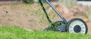 Reel mower cutting the grass.